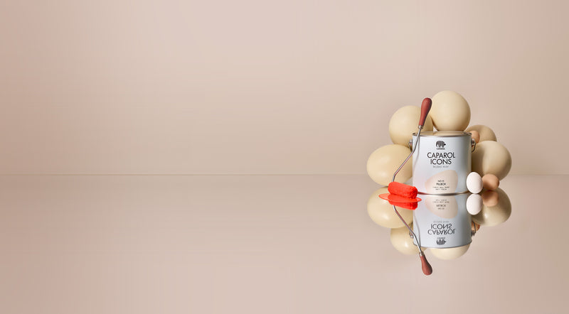 WHITE OCTOPUS - Hero Bild