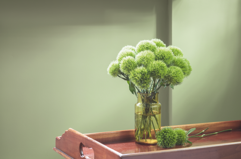 EFH Bonn - Hero Bild