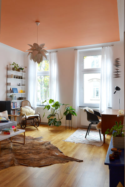 @studio.wunderkammer